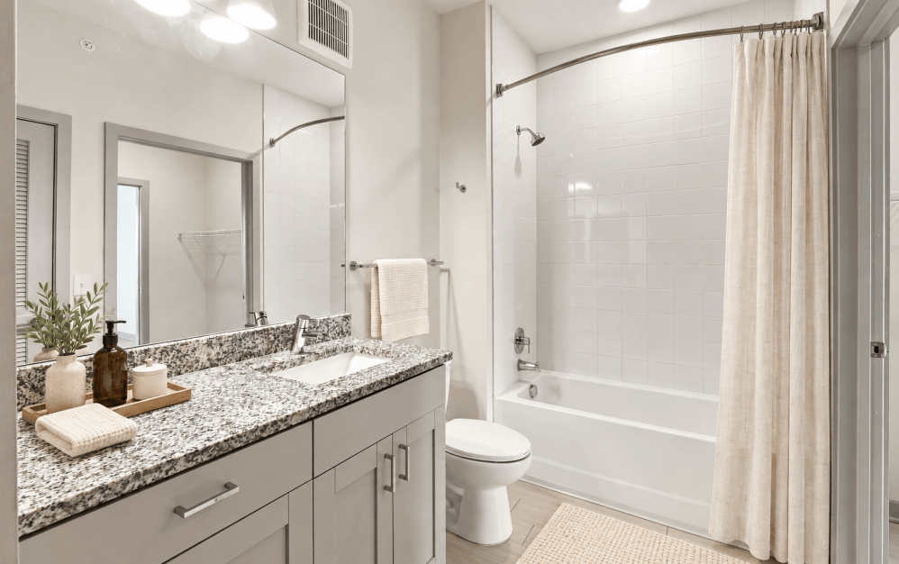 1 A - 1 bedroom floorplan layout with 1 bathroom and 735 square feet (Spa-Inspired Bathroom)